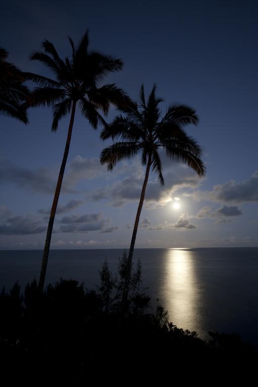 Hale Kai Hawaii Bed & Breakfast Hilo Buitenkant foto
