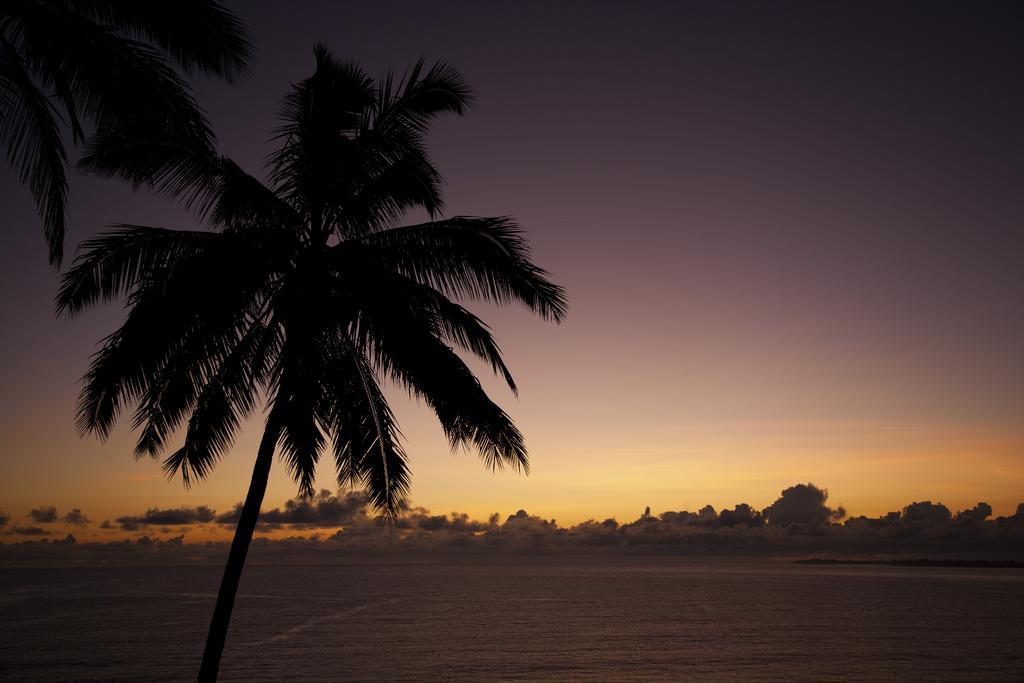 Hale Kai Hawaii Bed & Breakfast Hilo Buitenkant foto